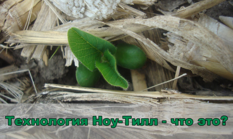 Основные принципы Ноу-Тилл. Подробно о главном. | Блог Компании АГРОМИР