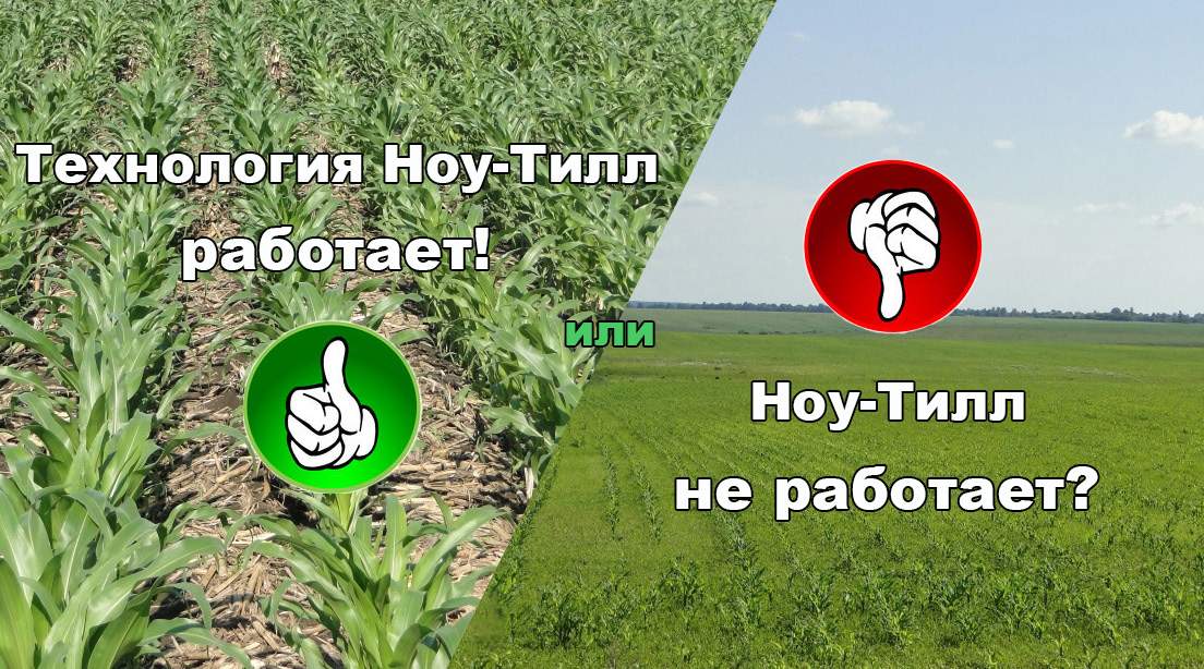 Почему у одних Ноу-тилл технология работает, а у других нет? | Блог ...